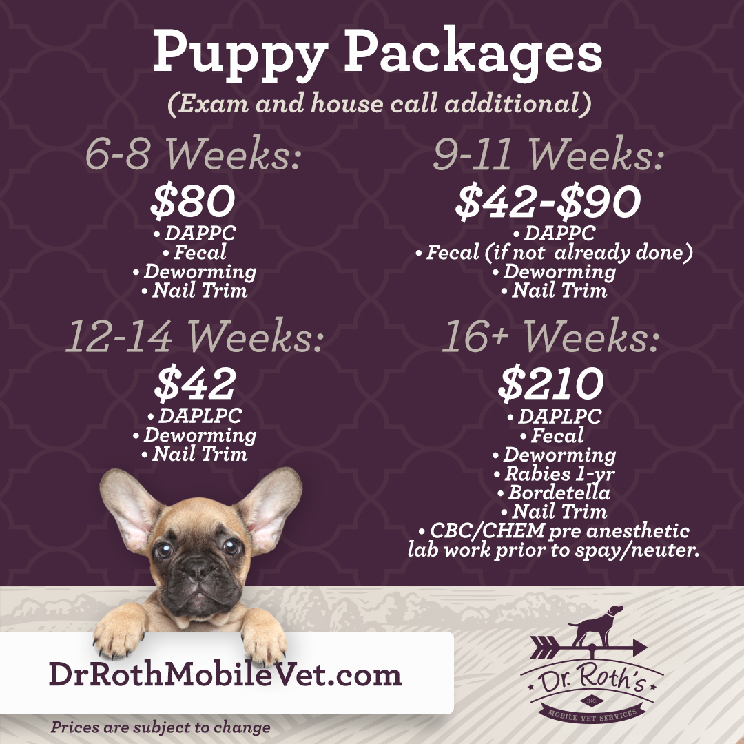 What is Parvo? Dr. Roth's Mobile Vet Services
